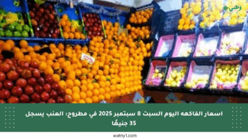 أسعار الفاكهة اليوم السبت 8 سبتمبر 2025 في مطروح: العنب يسجل 35 جنيهًا